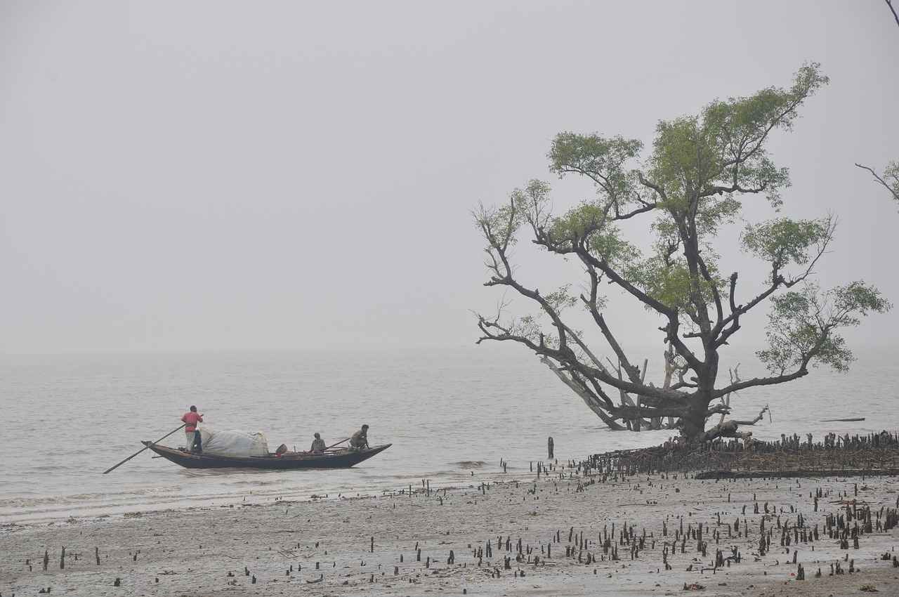 Best Places to Visit in West Bengal for a Spiritual Journey 10 10. Sundarbans: Nature’s Spiritual Sanctuary