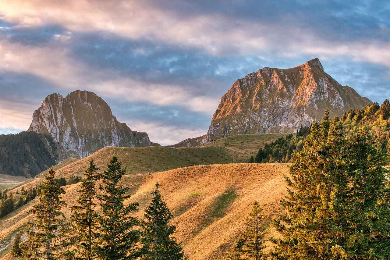 Exploring Darjeeling, West Bengal: A Travel Guide to the Queen of Hills 4 Cultural Experiences in Darjeeling