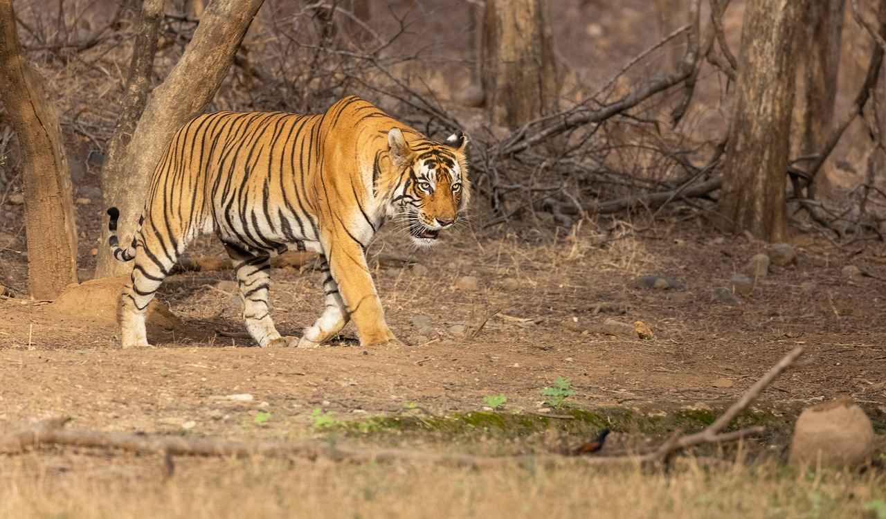 A Brief Overview of Baranagar