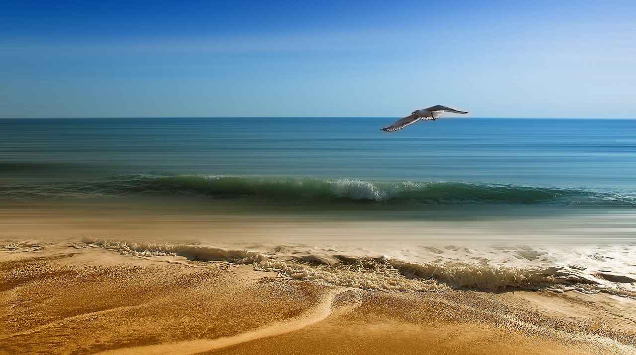 Conclusion: Why Choose Shankarpur for Your Next Vacation?