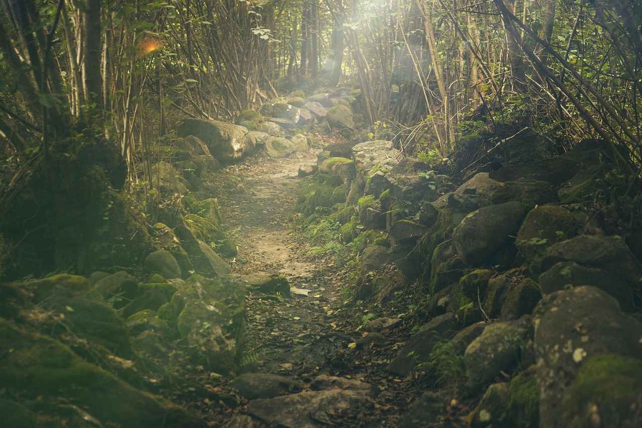1. Introduction to West Bengal's Hiking Trails