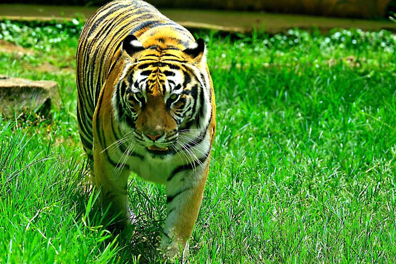 Key Historical Sites in Kolkata
