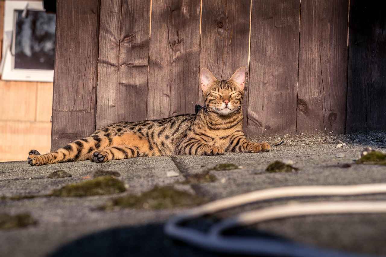 Government Initiatives Supporting Economic Development