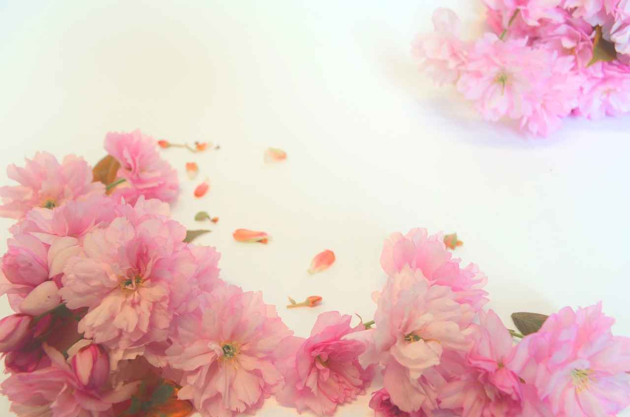 How to Check Your Ration Card Status Online in West Bengal 2 Benefits of Online Ration Card Status Checking