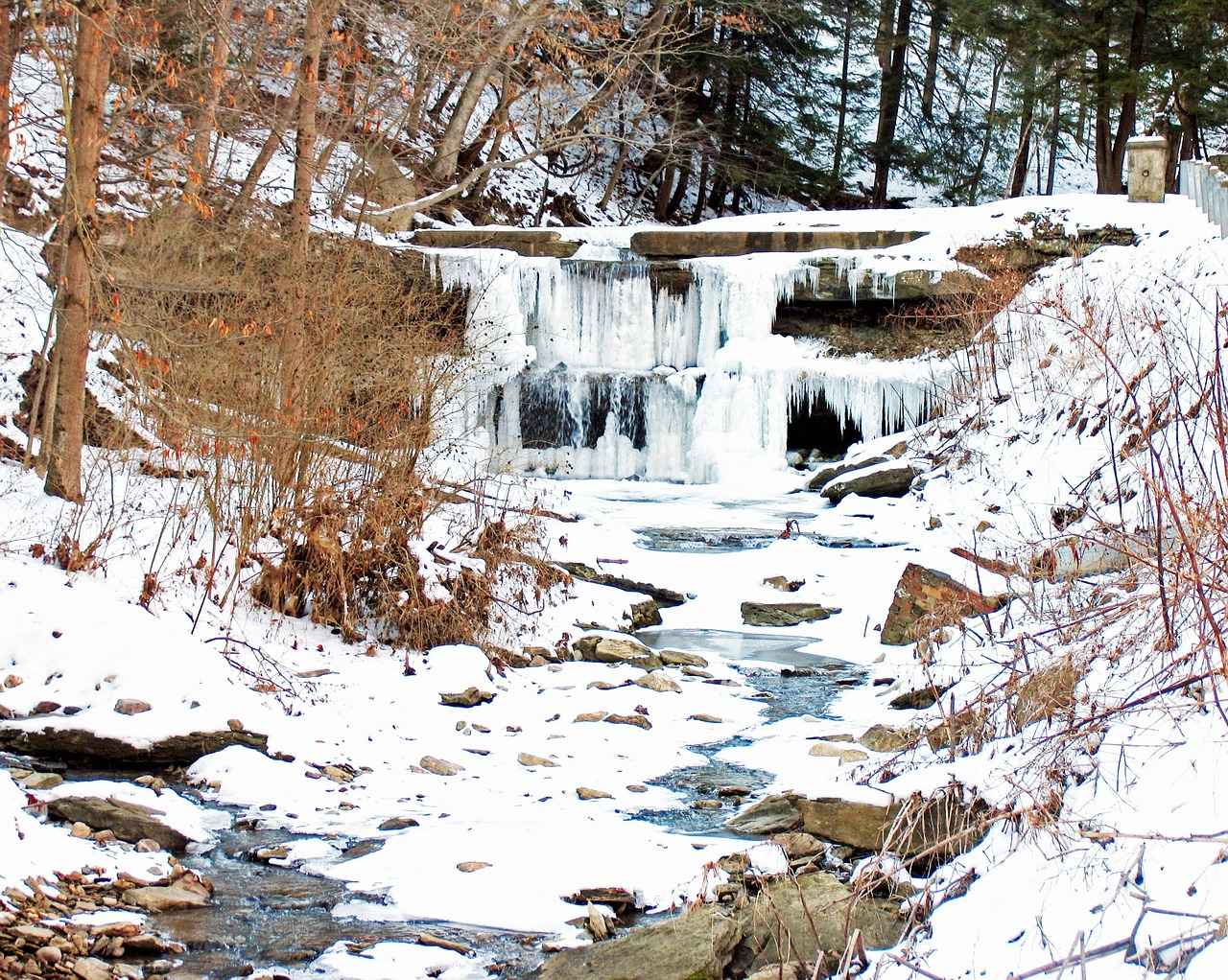 How to Experience the Local Culture of West Bengal Like a Local 4 Engaging with Local Arts and Crafts