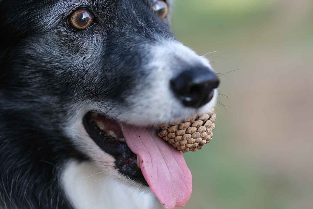 How to Learn Bengali: A Complete Guide for Beginners 5 5. Listening and Speaking Practice