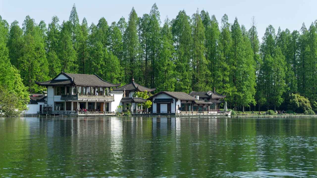 Challenges Faced and Overcoming Adversity