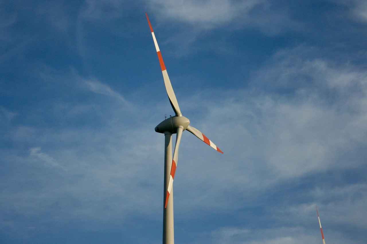 5. Kalimpong Eco Park