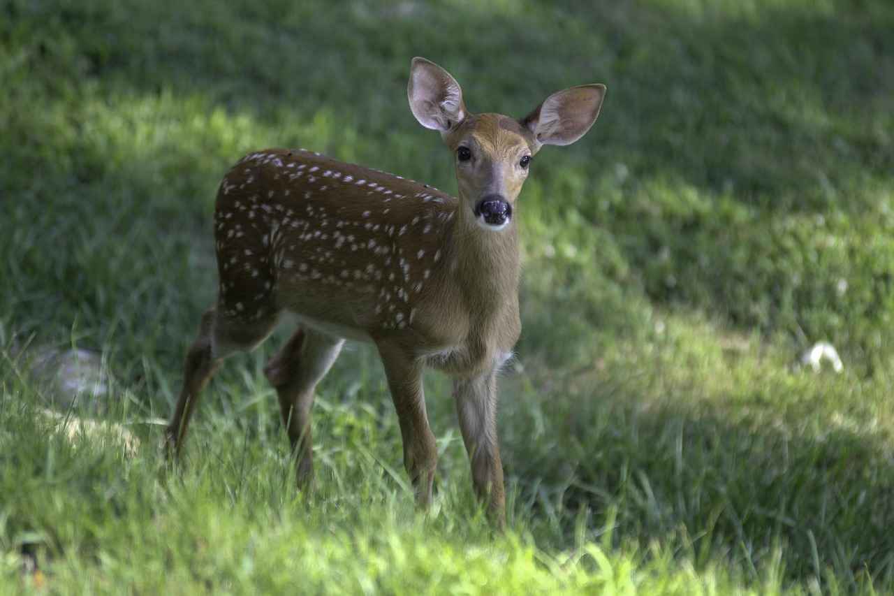 2. Top Universities in West Bengal