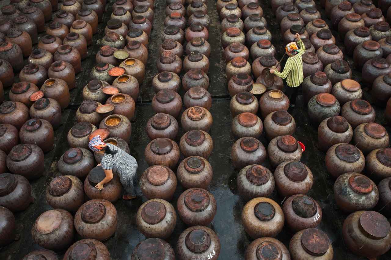 The Difference Between Bengali Dialects in India and Bangladesh 6 Conclusion: The Future of Bengali Dialects