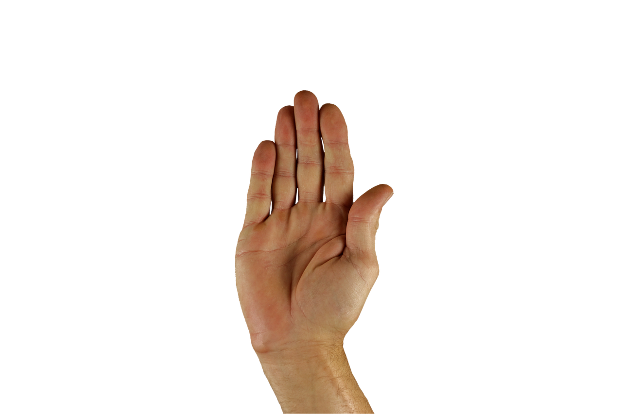 The Influence of Sanskrit and Persian on Bengali Vocabulary 3 The Persian Connection