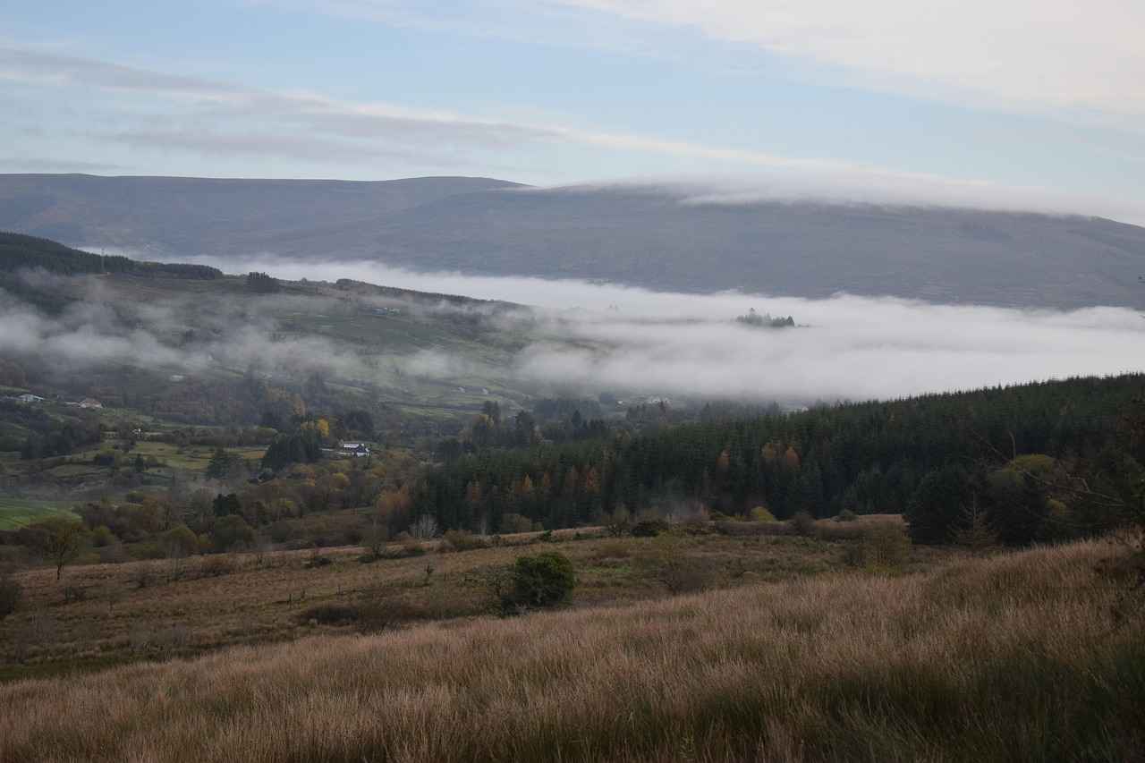 9. The Riverbank Drive Along the Hooghly