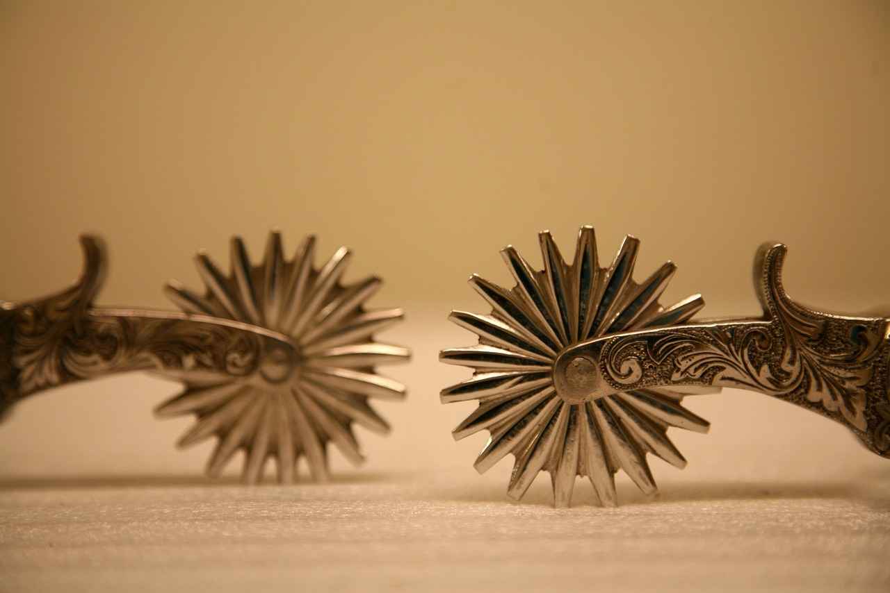 West Bengal Election 2021 Opinion Poll Date: What to Expect 2 Key Players in the West Bengal Elections