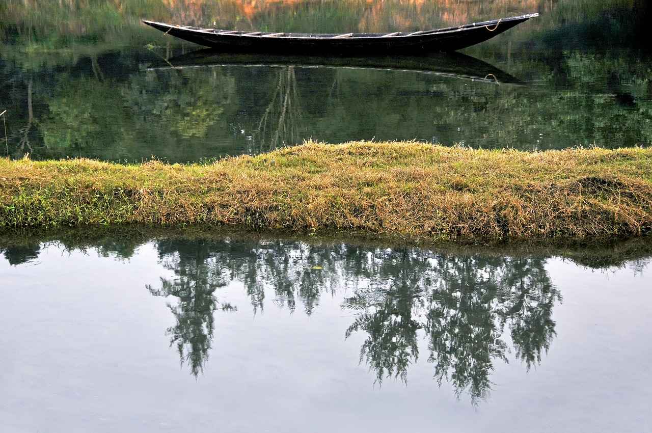 West Bengal News in Hindi: Top Headlines You Should Follow 6 Conclusion: Staying Informed on West Bengal News