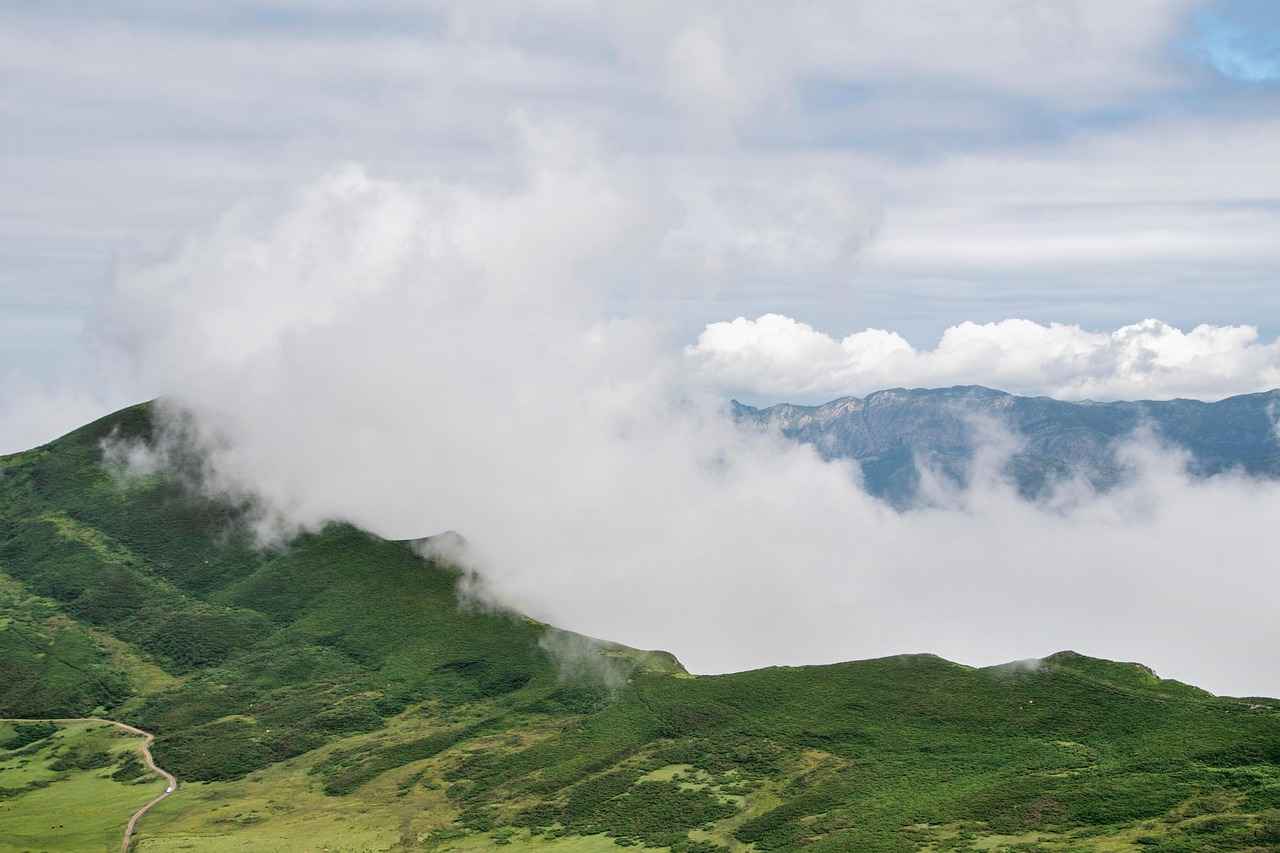 What’s the Weather Like in West Bengal Today? Your Complete Weather Forecast 7 Conclusion: Preparing for West Bengal's Weather