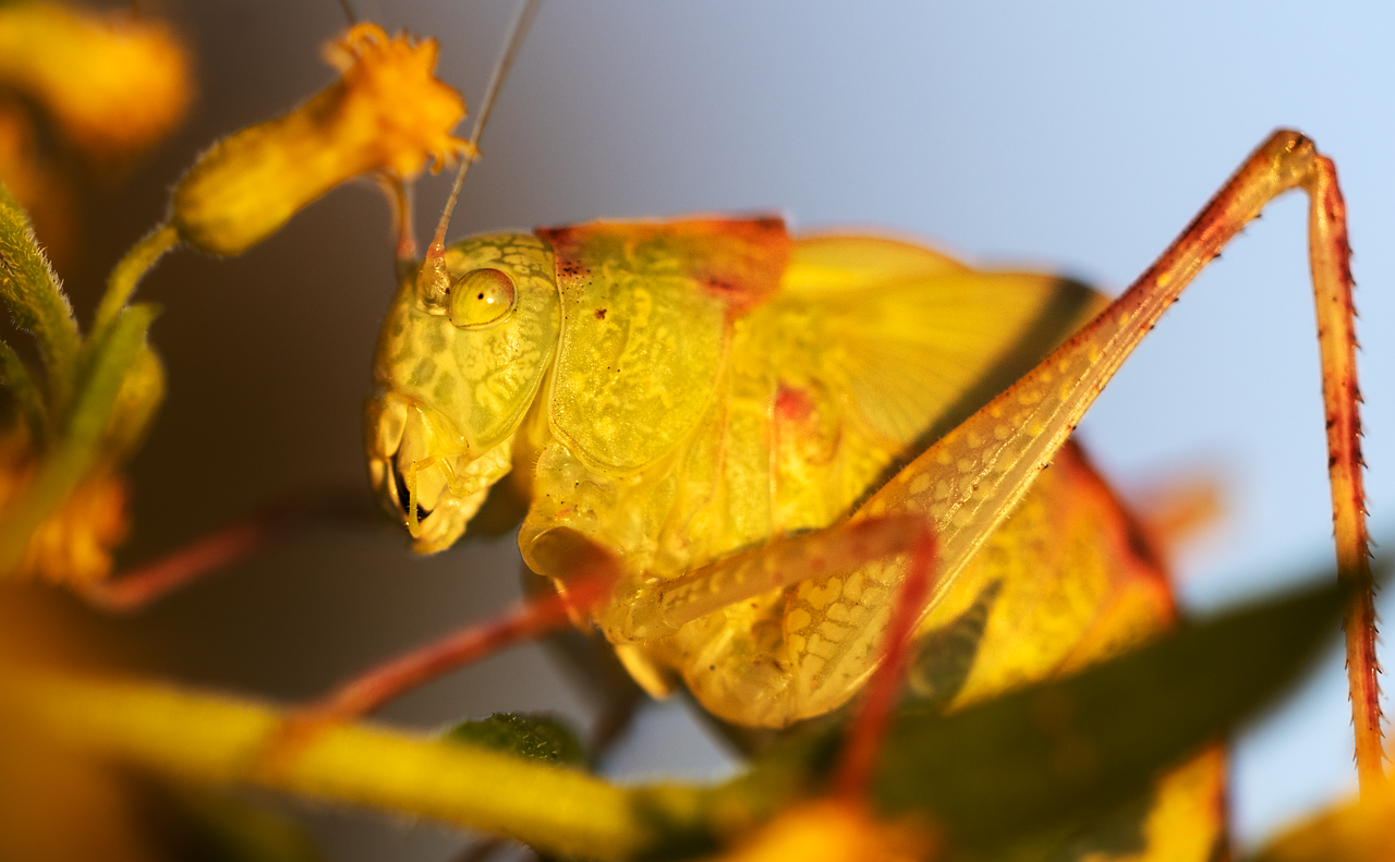Why Cricket Is a Religion in West Bengal 3 Cricket and Its Economic Impact