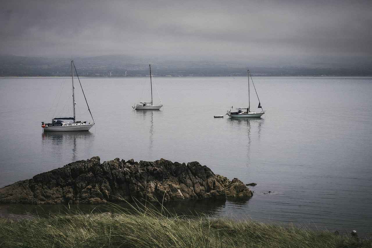 Why Darjeeling Is Known as the Queen of the Hills 4 The Unique Flora and Fauna