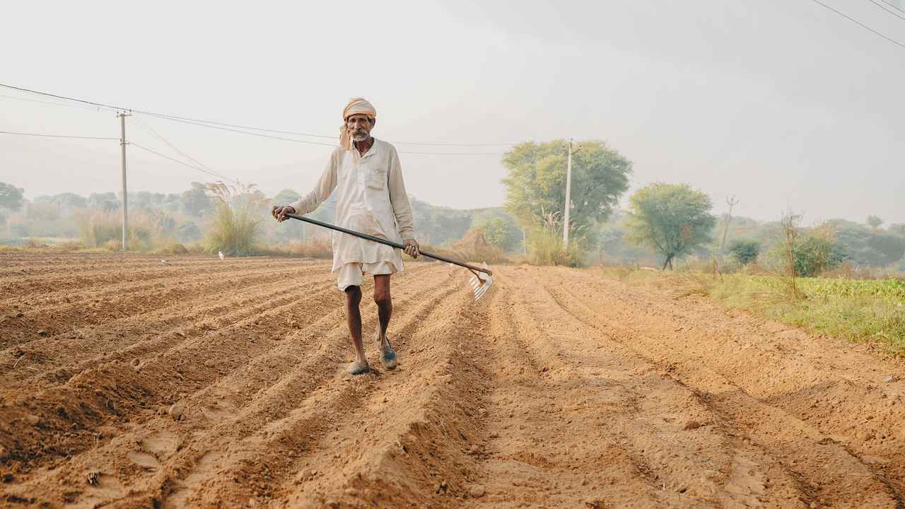 Why More Bengalis Are Turning to Organic Farming 6 Future of Organic Farming in Bengal