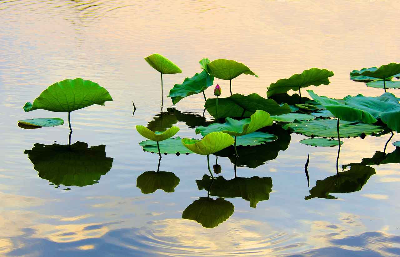 Why West Bengal Should Be on Your Travel Bucket List 10 10. Navigating West Bengal: Travel Tips