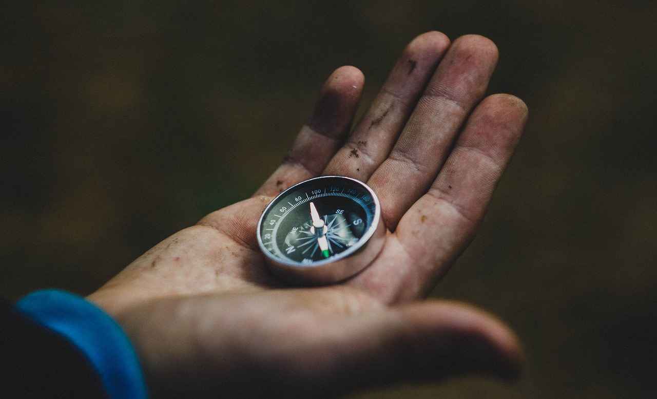 Why West Bengal Should Be on Your Travel Bucket List 11 11. Conclusion: Why West Bengal is a Must-Visit Destination