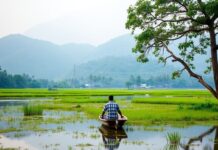 Exploring the Serene Beauty of West Bengal: A Traveler’s Paradise Exploring the Tranquil Beauty of West Bengal: A Traveler's Haven