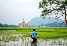 Exploring the Serene Beauty of West Bengal: A Traveler’s Delight Exploring the Peaceful Beauty of West Bengal: A Traveler's Joy