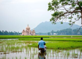 Exploring the Serene Beauty of West Bengal: A Traveler’s Delight Exploring the Peaceful Beauty of West Bengal: A Traveler's Joy