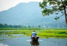 Unveiling the Serene Beauty of West Bengal: A Traveler’s Paradise Unveiling the Serene Beauty of West Bengal: A Traveler's Haven