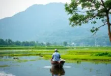 Unveiling the Serene Beauty of West Bengal: A Traveler’s Paradise Unveiling the Serene Beauty of West Bengal: A Traveler's Haven
