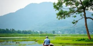 Unveiling the Serene Beauty of West Bengal: A Traveler’s Paradise Unveiling the Serene Beauty of West Bengal: A Traveler's Haven