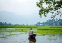 Unveiling the Serene Beauty of West Bengal: A Traveler’s Paradise Unveiling the Serene Beauty of West Bengal: A Traveler's Paradise