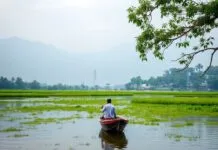 Unveiling the Serene Beauty of West Bengal: A Traveler’s Paradise Unveiling the Serene Beauty of West Bengal: A Traveler's Paradise