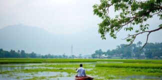 Unveiling the Serene Beauty of West Bengal: A Traveler’s Paradise Unveiling the Serene Beauty of West Bengal: A Traveler's Paradise